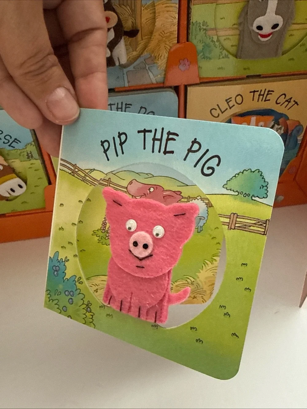 Large Puppet Farm Kids Book Set - 9 book/finger puppets Preschool Homeschool